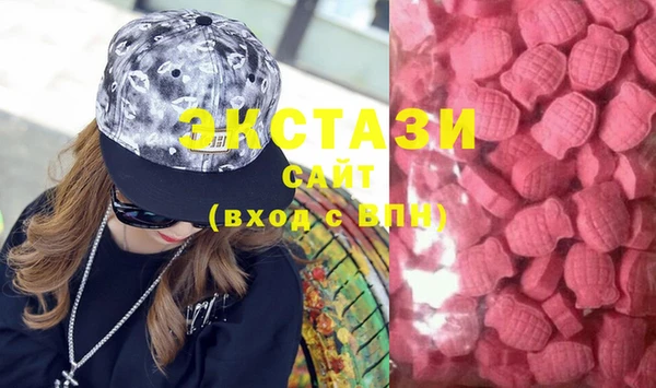 тгк Пересвет