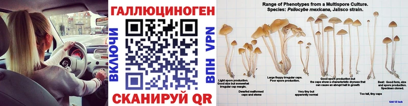 Купить закладки  Иваново  Псилоцибиновые грибы MAGIC MUSHROOMS 